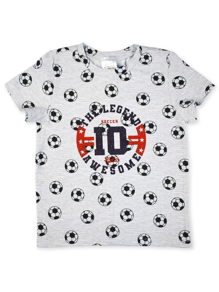 Футболка Мальчикам Армения Серый меланж Мячи (фото 1)