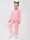 Костюм Девочкам Ивашка Розовый Без рисунка (фото 1)