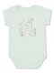 Боди Новорождённым Армения Мятный Зайка (фото 1)