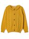 Кардиган Девочкам Bonito Горчичный Без рисунка (фото 1)